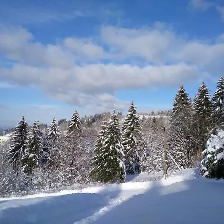 Chalet neuf avec jacuzzi privé, vue imprenable sur Massif des Vosges Belfahy Extérieur photo