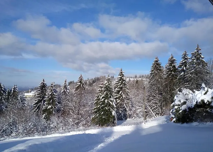 Chalet neuf avec jacuzzi privé, vue imprenable sur Massif des Vosges