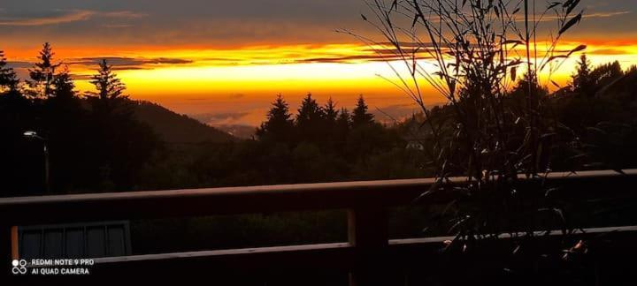 Neuf Avec Jacuzzi Privé, Vue Imprenable Sur Massif Des Vosges Chalet *