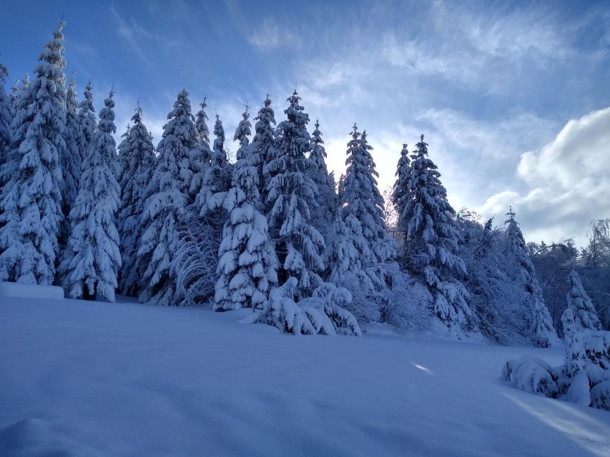 Neuf Avec Jacuzzi Privé, Vue Imprenable Sur Massif Des Vosges