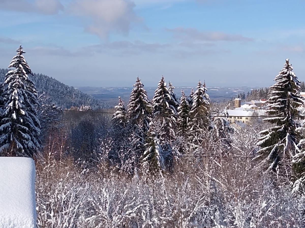 Chalet Neuf Avec Jacuzzi Privé, Vue Imprenable Sur Massif Des Vosges